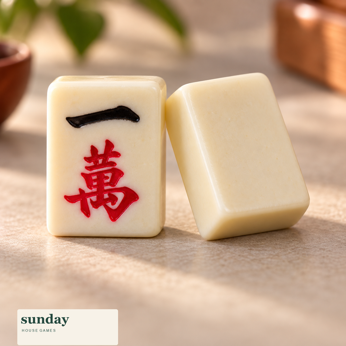 Reunion chinese mahjong set with case — tile close-up